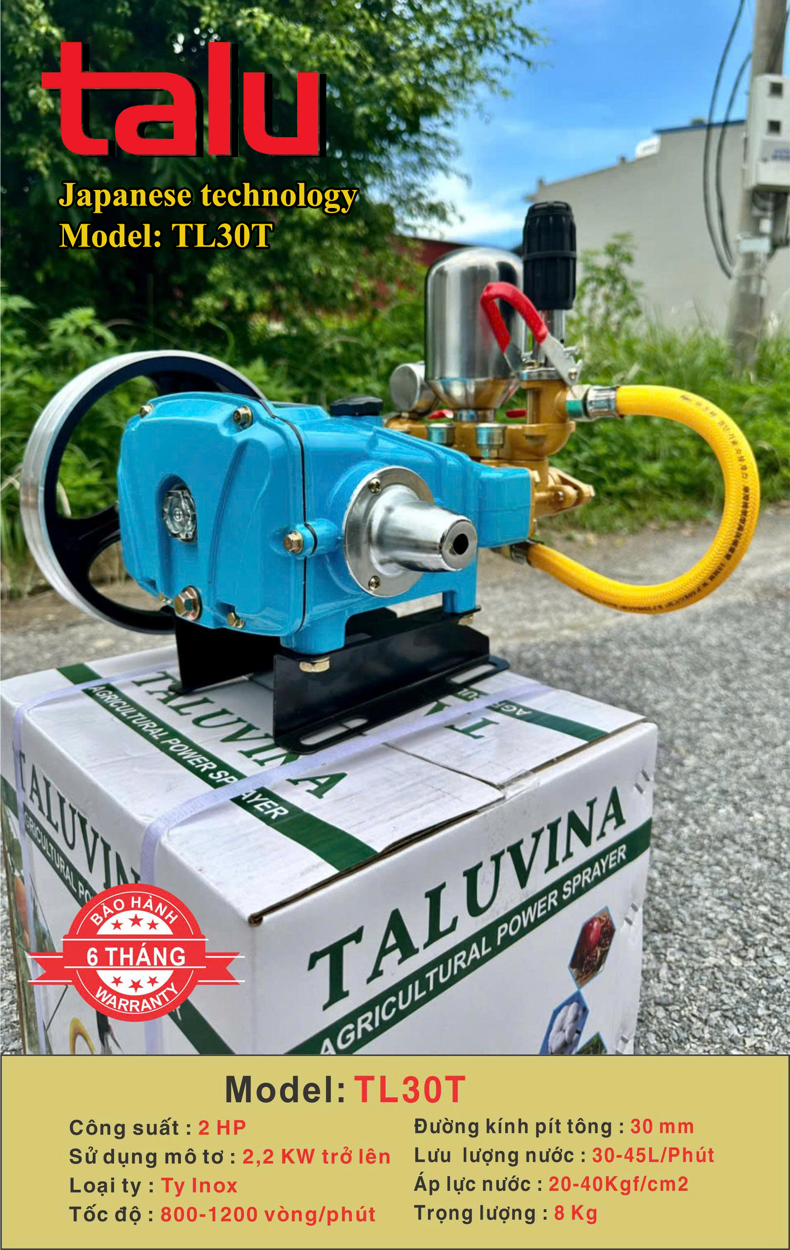 Đầu xịt cao áp TALUVINA TL30T 2HP xilanh 30mm ty inox - Góc nhìn 6