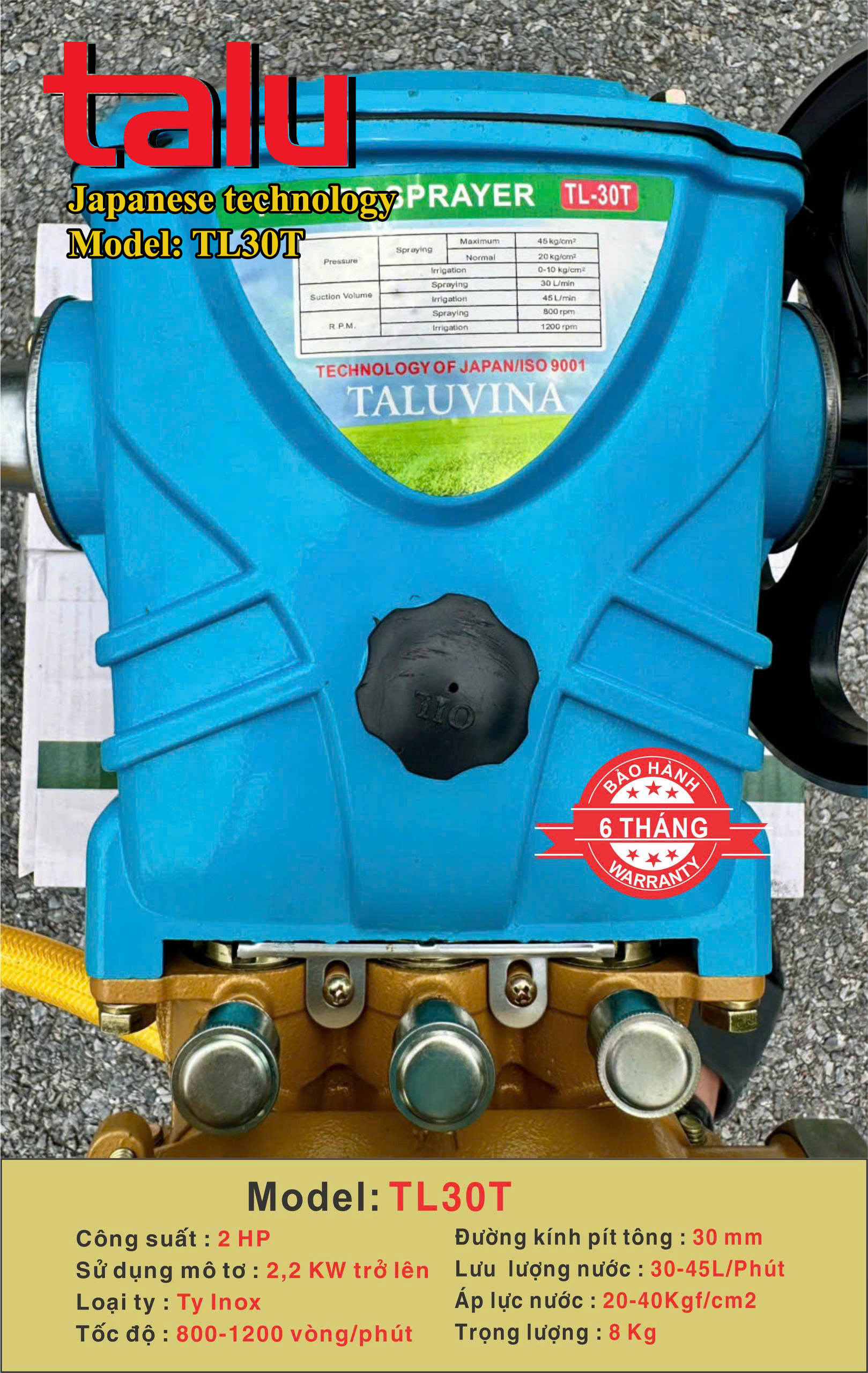 Đầu xịt cao áp TALUVINA TL30T 2HP xilanh 30mm ty inox - Góc nhìn 7